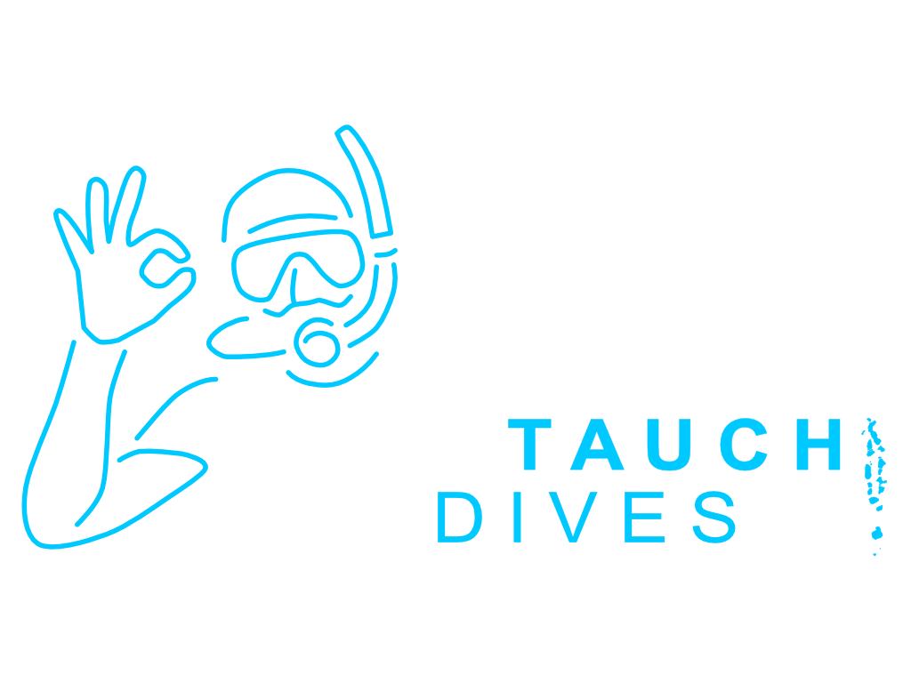 Let's Tauch Maldives